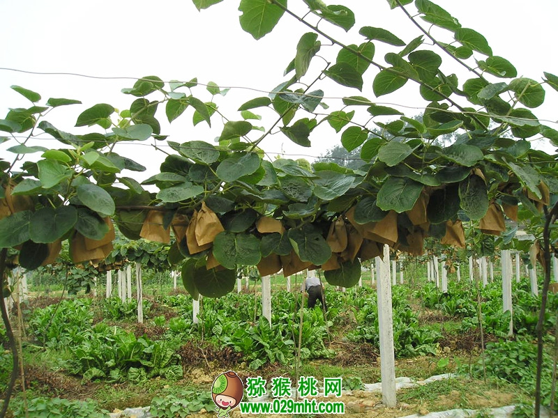 PG国际官方网站图片