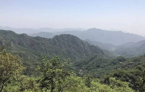 PG国际官方网站图片