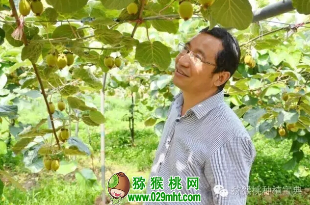 PG国际官方网站图片