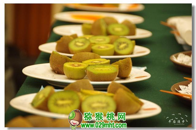 PG国际官方网站图片