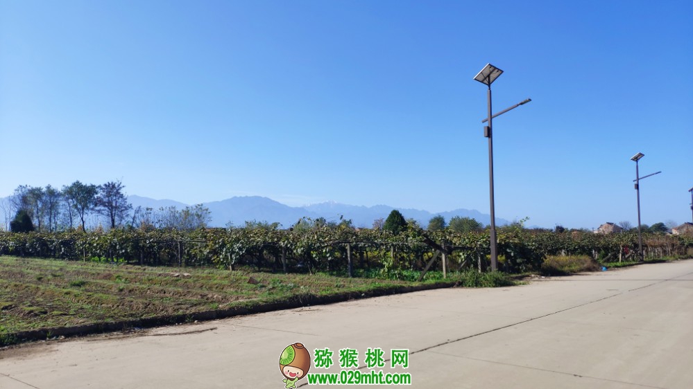 PG国际官方网站图片