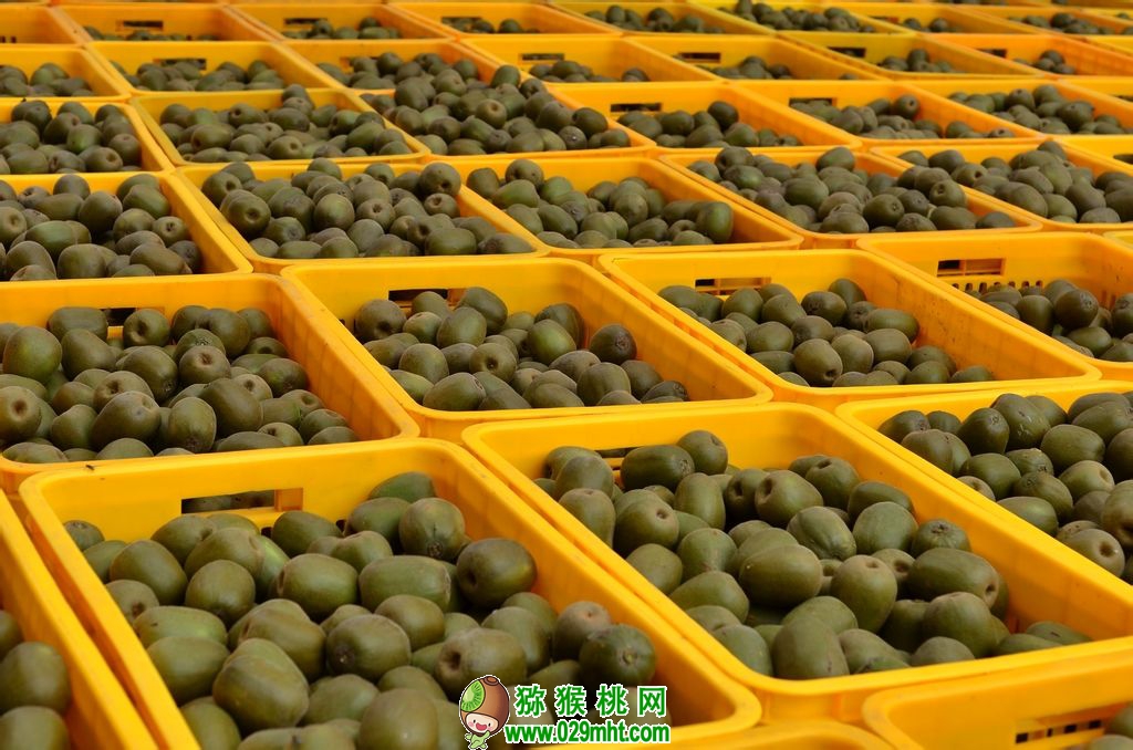 PG国际官方网站图片