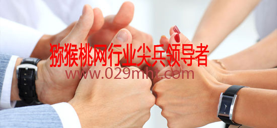 PG国际猕猴桃网行业尖兵领导者.jpg