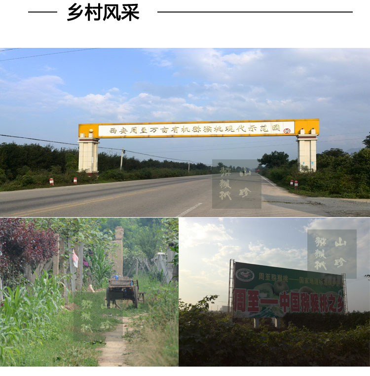 2015秦美_05