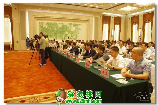 PG国际官方网站图片