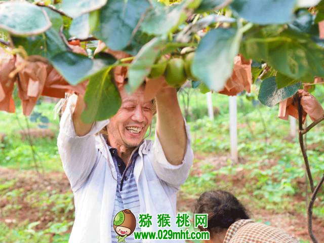 PG国际官方网站图片