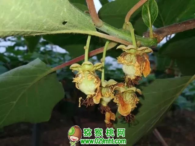PG国际官方网站图片