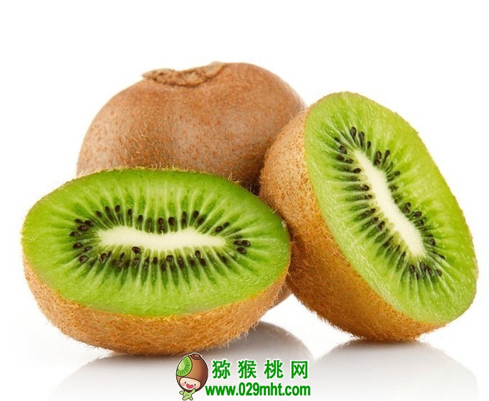 PG国际官方网站图片