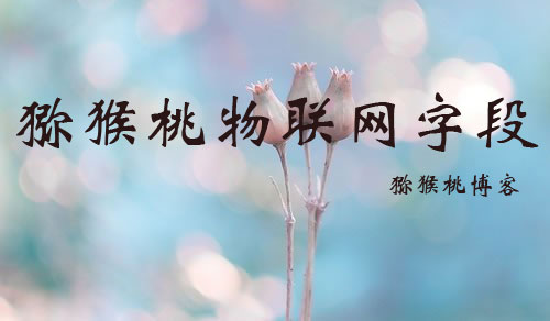 PG国际猕猴桃物联网系统模型