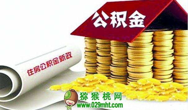 PG国际官方网站图片