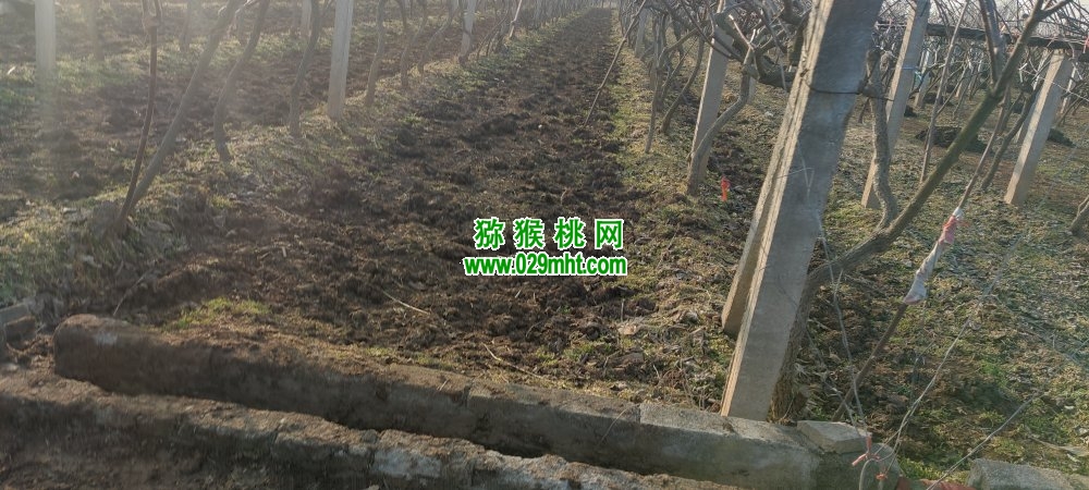 PG国际官方网站图片
