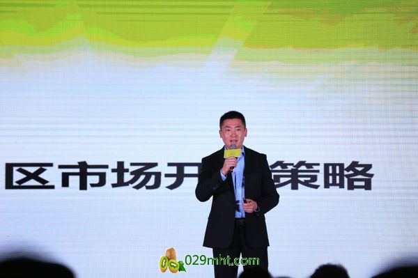 PG国际官方网站图片