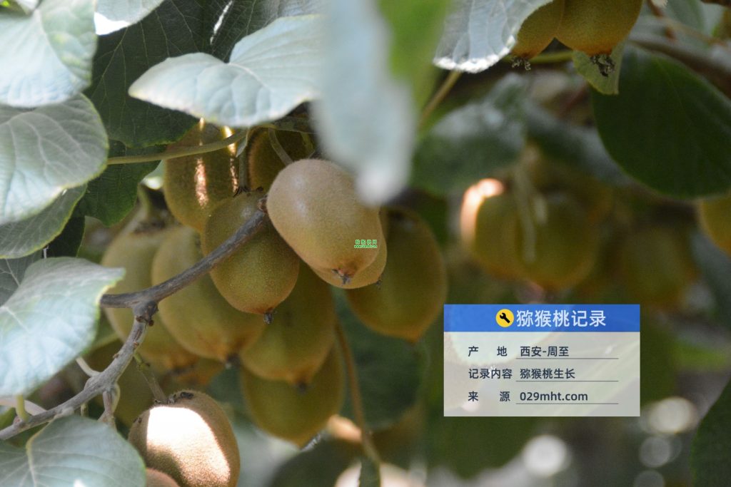 PG国际官方网站图片