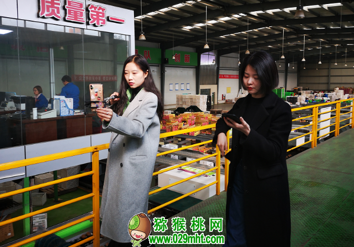 PG国际官方网站图片