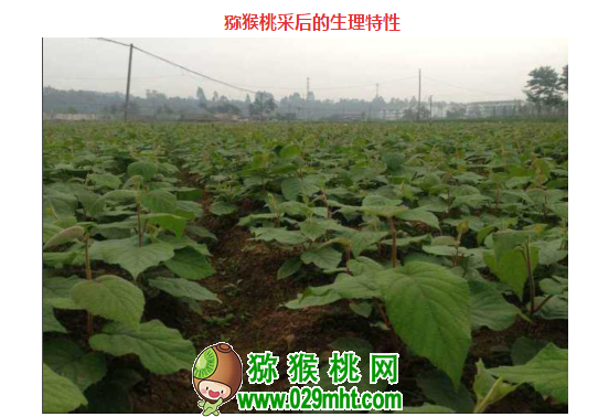 PG国际 83cf7