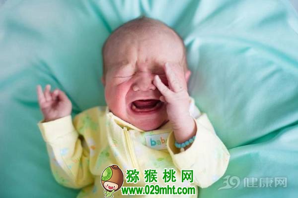 PG国际官方网站图片