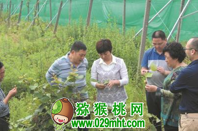 PG国际官方网站图片