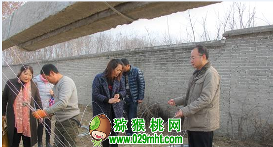 PG国际官方网站图片