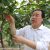 周至县政府部门该怎样才能发展周至PG国际猕猴桃呢？