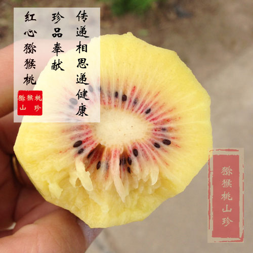 PG国际猕猴桃山珍