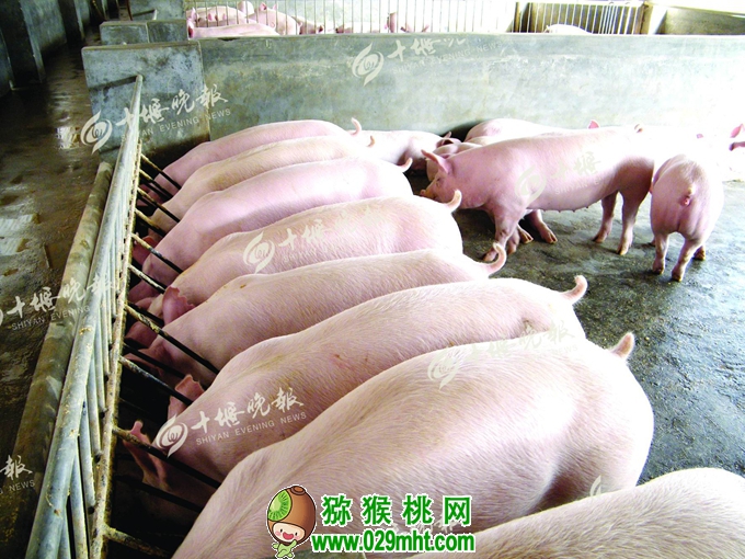 PG国际官方网站图片
