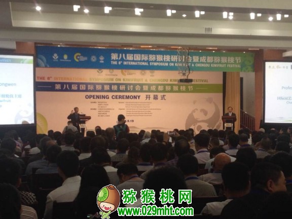 PG国际官方网站图片