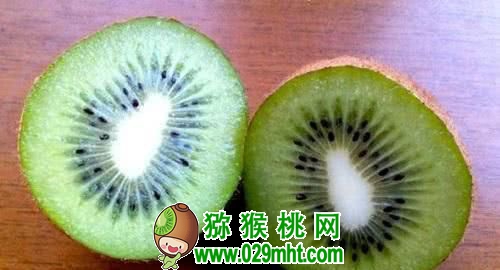 PG国际官方网站图片