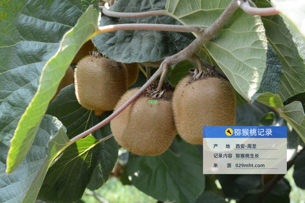 PG国际官方网站图片