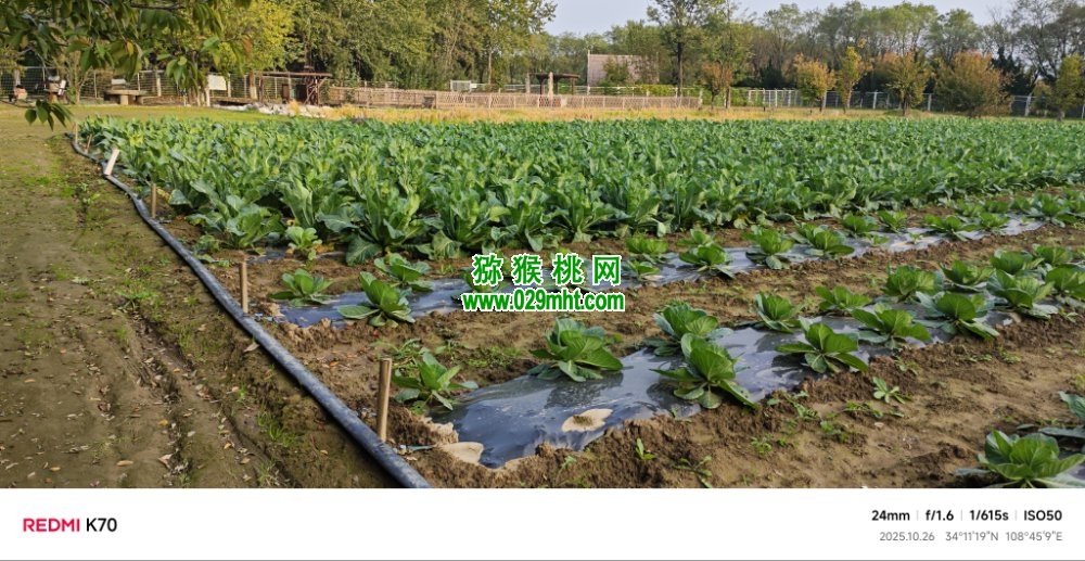 PG国际 b774b