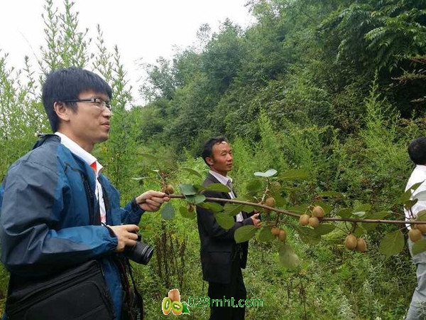 PG国际官方网站图片