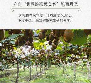 PG国际官方网站图片