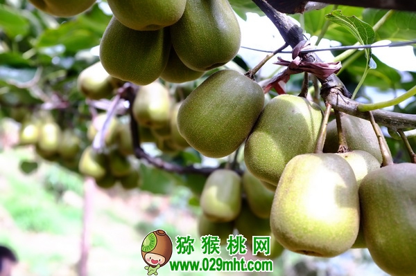 PG国际官方网站图片
