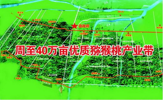PG国际 d2f4f