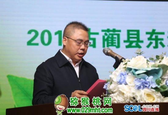 PG国际官方网站图片