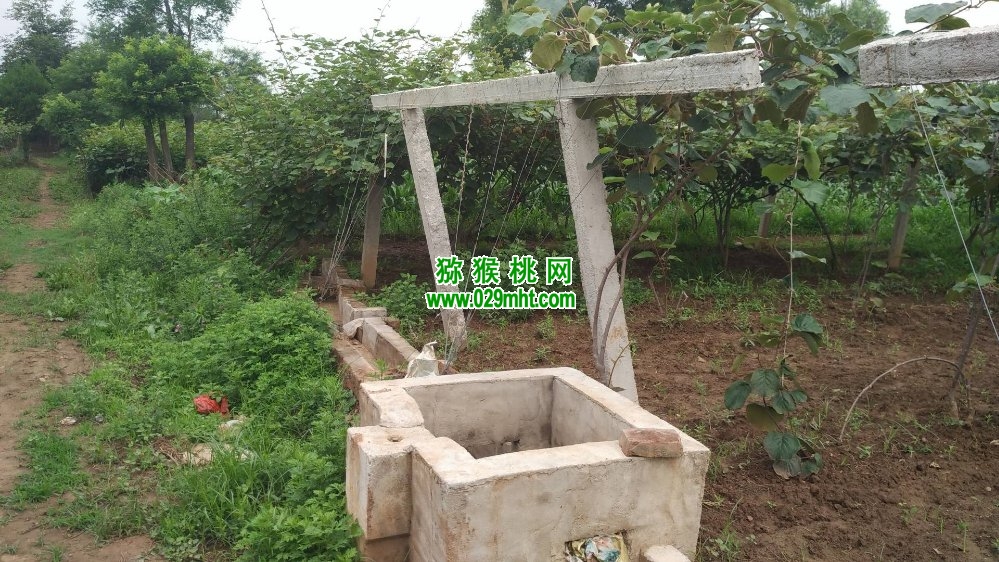 PG国际 a7e58