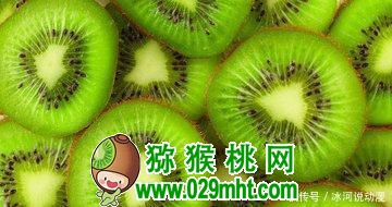 PG国际 2c516