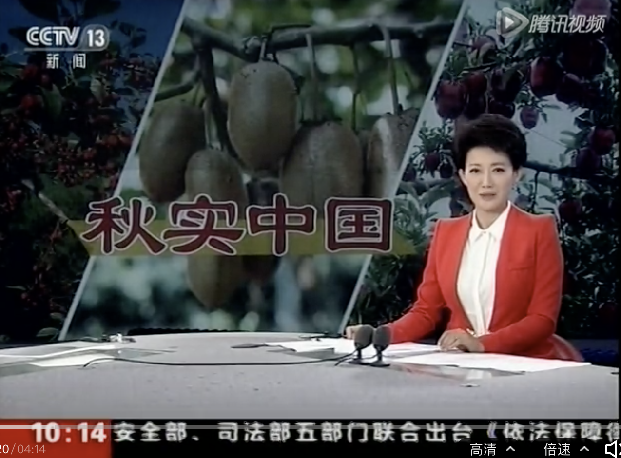 PG国际官方网站图片