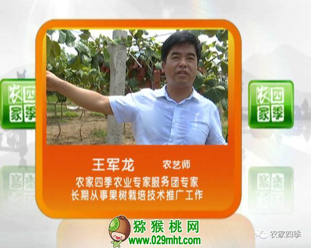 PG国际官方网站图片