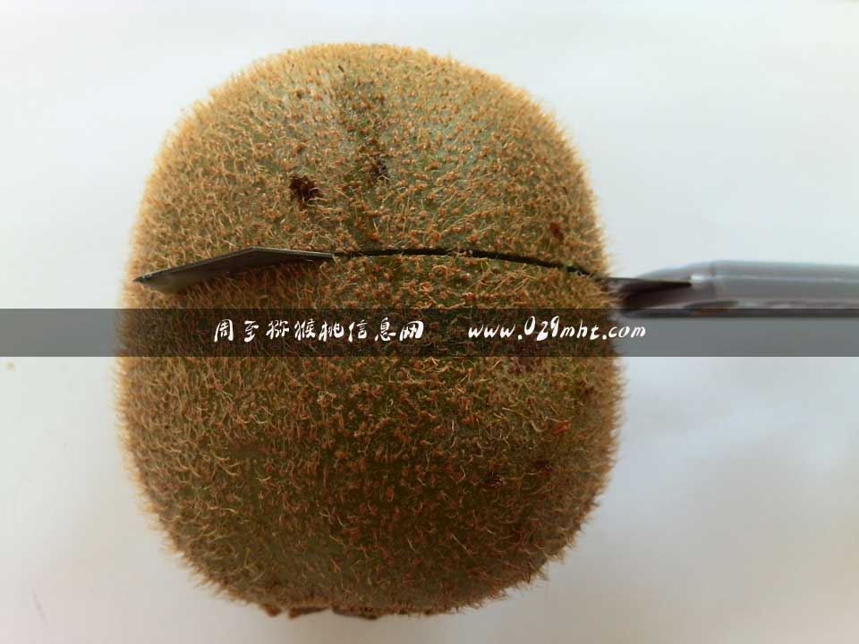 <a href=http://www.summer2018.cn/mht/guogan/ target=_blank class=infotextkey />PG国际猕猴桃果脯</a>切片PG国际猕猴桃