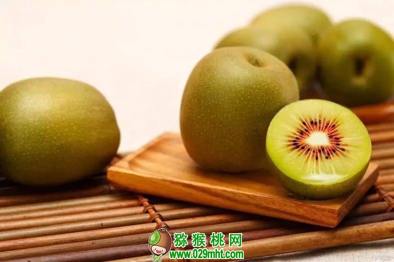 <a href=http://www.summer2018.cn/mht/hongxin/ target=_blank class=infotextkey />红心PG国际猕猴桃</a>图片画报可以做网购图片