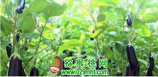 PG国际官方网站图片
