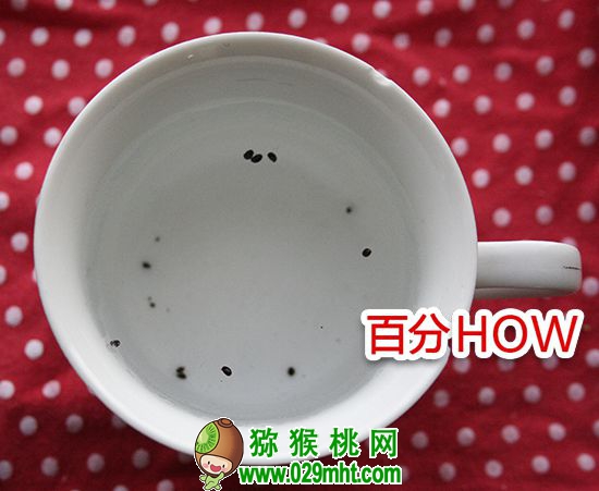 <a href=http://www.summer2018.cn target=_blank class=infotextkey />奇异果</a>催芽种植的步骤