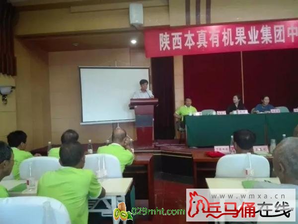PG国际官方网站图片