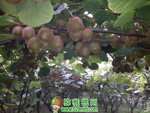 PG国际官方网站图片