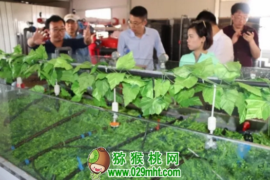 PG国际官方网站图片