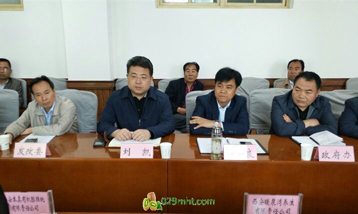 PG国际官方网站图片