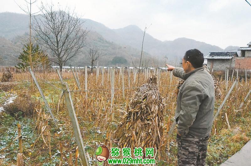 PG国际官方网站图片