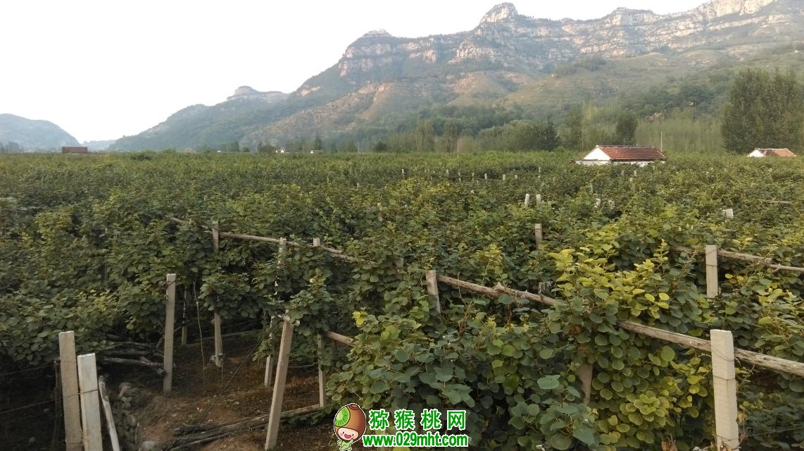 PG国际官方网站图片