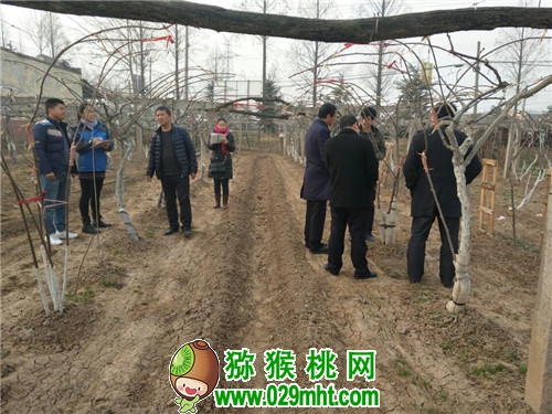 PG国际官方网站图片