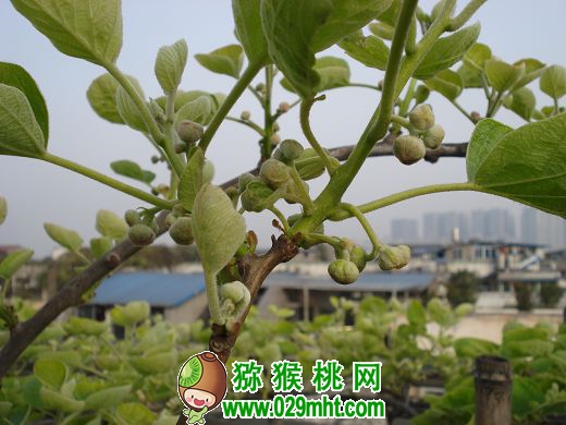 PG国际官方网站图片